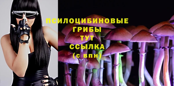 мяу мяу мука Арсеньев